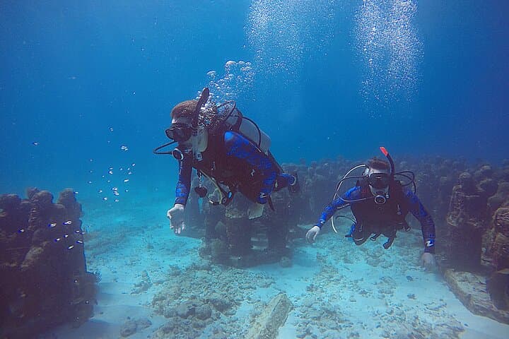 SDI Open Water Diver Certification in Cancun — 2-Day Course at MUSA & Coastal Reefs photo 2