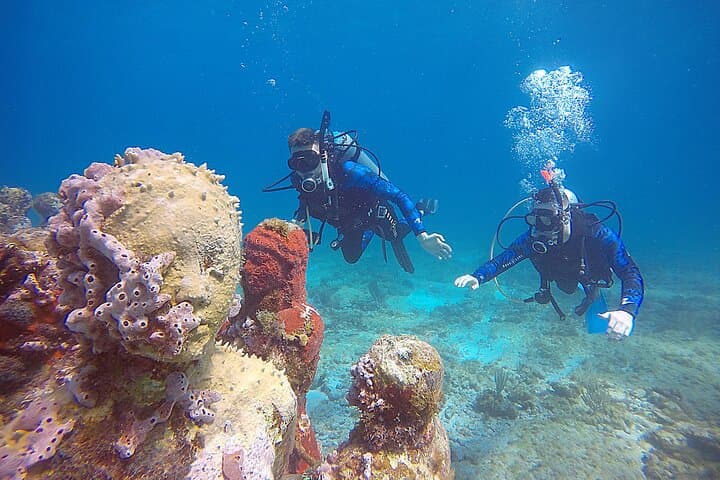 SDI Open Water Diver Certification in Cancun — 2-Day Course at MUSA & Coastal Reefs photo 3