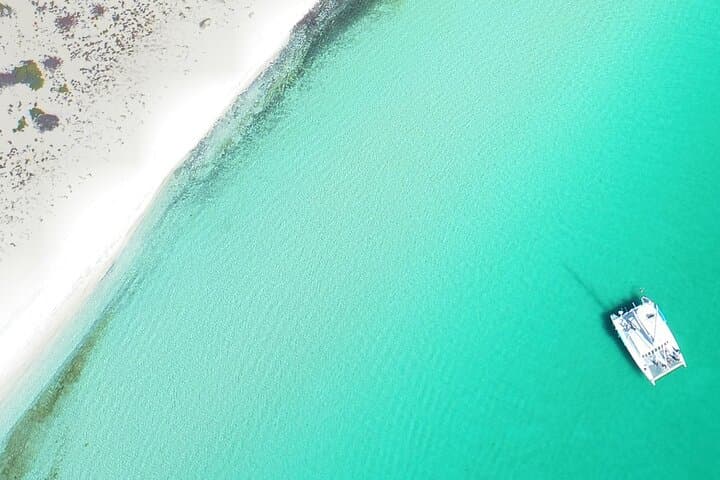 Full-Day Catamaran to Isla Espíritu Santo from Los Cabos — Snorkel with Sea Lions and Open Bar