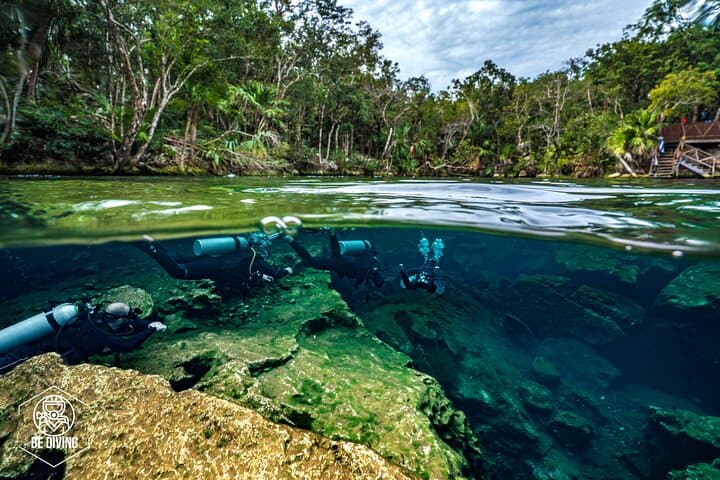 Scuba Diving in Cenotes near Playa del Carmen: Guided Cave & Cavern Dives photo 2