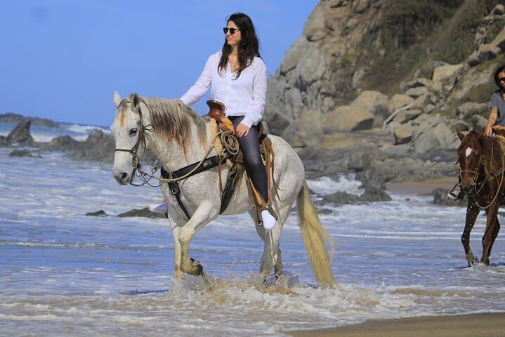 Sayulita Horseback Riding: Jungle Trails to a Hidden Pacific Beach photo 6