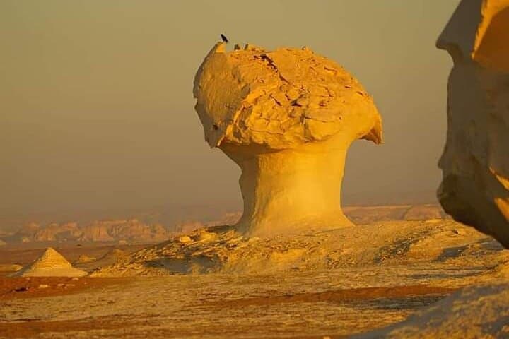Day Tour to Egypt’s Black and White Deserts from Cairo — Bahariya Oasis & Crystal Mountain photo 6