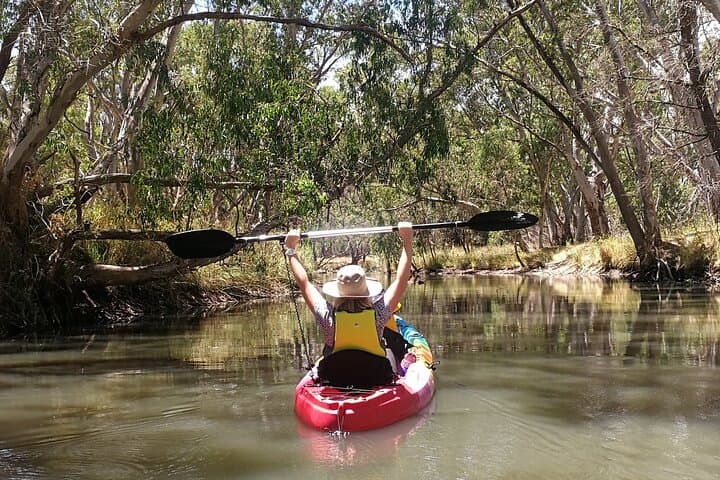Solo or Tandem: 2-Hour Kayaking on Warren Reservoir, Barossa Valley photo 2