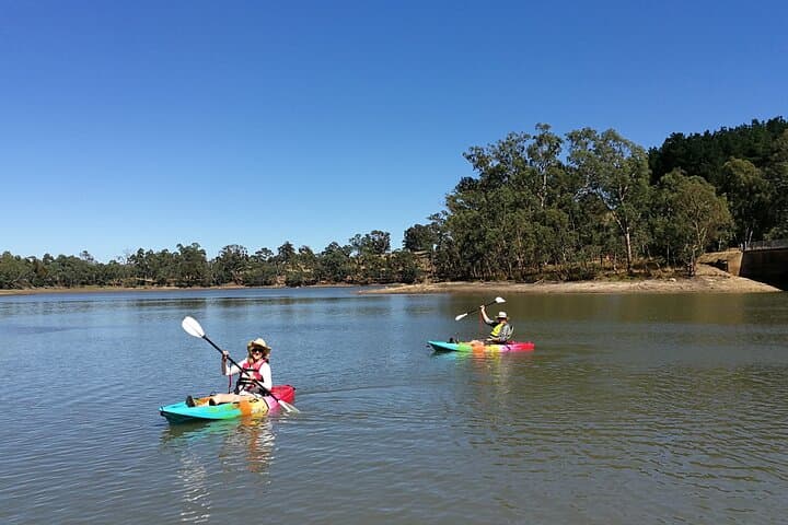Solo or Tandem: 2-Hour Kayaking on Warren Reservoir, Barossa Valley photo 5