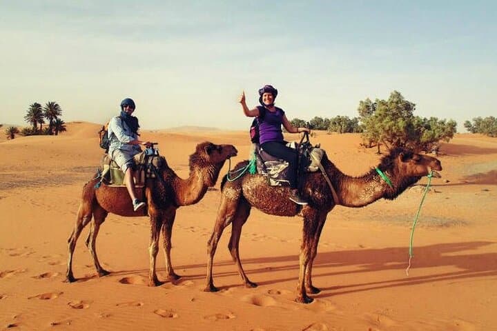 Merzouga Camel Trek & Overnight Berber Camp in Erg Chebbi photo 3