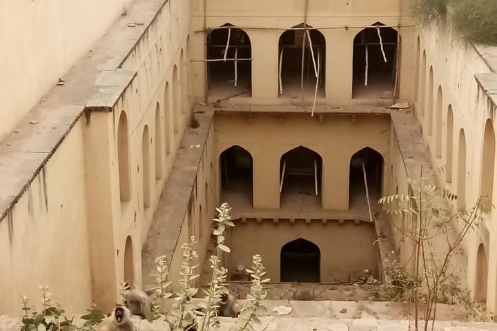 Stepwells to Safaris: 6-Day Private Rajasthan Tour from Jaipur photo 6