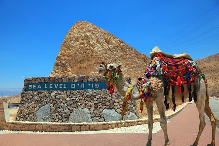 Masada and Dead Sea Day Tour from Tel Aviv — Float the Lowest Point and Explore Herod's Fortress
