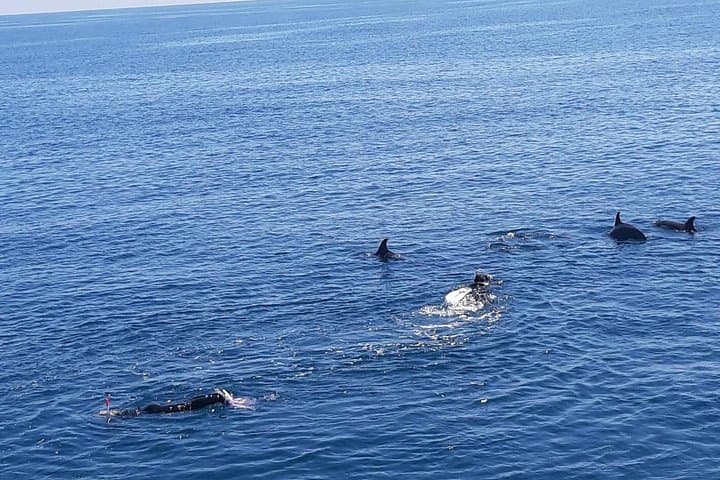 Hurghada Dolphin Tour: Snorkel Reefs, Dolphins & Banana Boat Adventure photo 4
