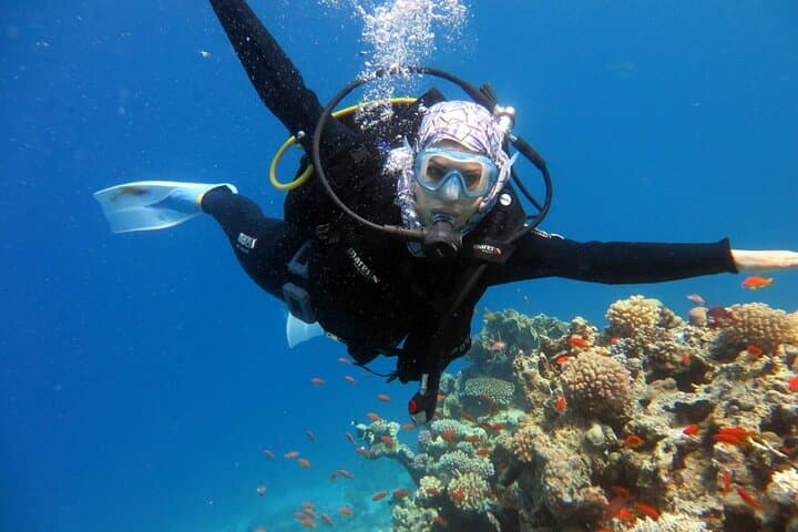 Tiran Island Snorkel Boat Trip from Sharm el Sheikh — Day Cruise to the Reefs