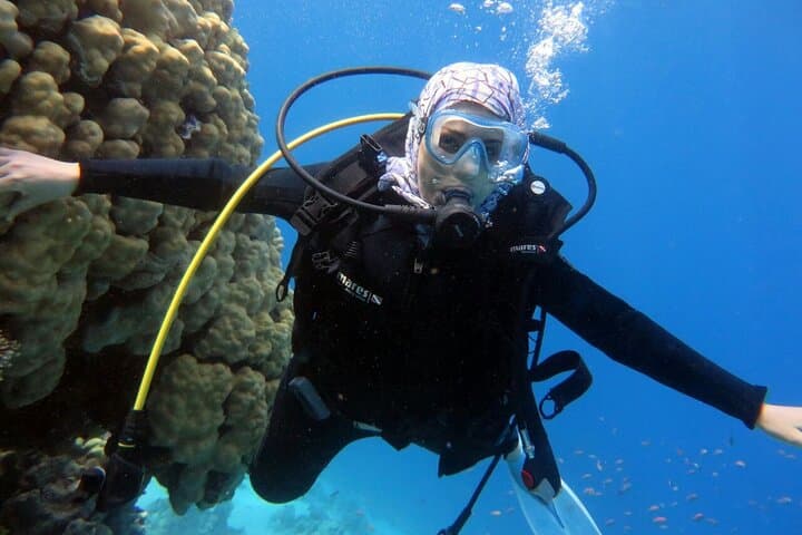 Tiran Island Snorkel Boat Trip from Sharm el Sheikh — Day Cruise to the Reefs photo 2