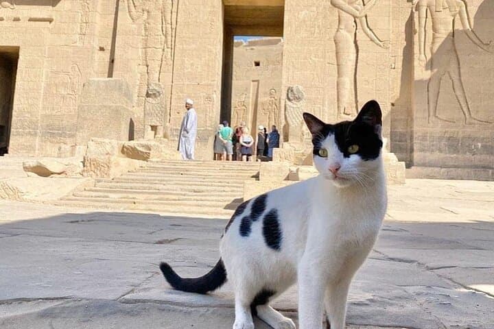 Aswan to Luxor: 4-Day Luxury Nile Cruise through Ancient Egypt photo 6
