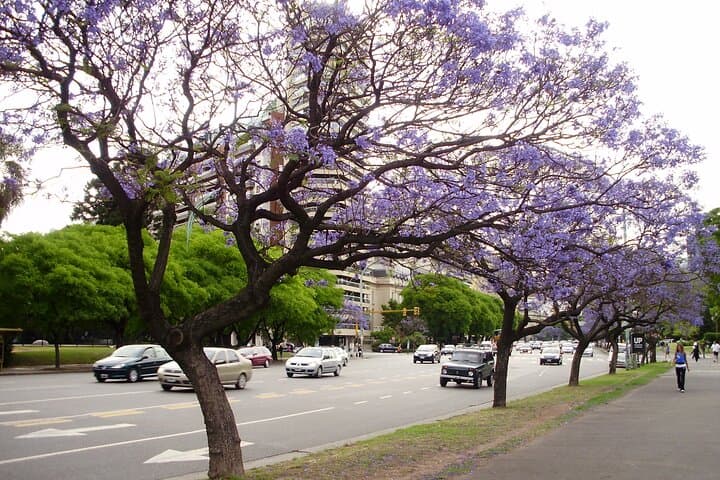 Private 3-Hour Buenos Aires Tour: Plaza de Mayo, Recoleta & Puerto Madero photo 6