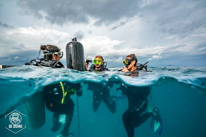 Open Water Diver Course Cozumel — Learn Scuba and Protect the Reef photo 3