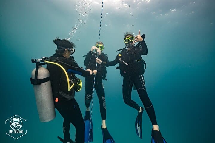 Open Water Diver Course Cozumel — Learn Scuba and Protect the Reef photo 4