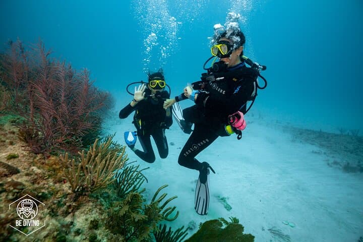 Playa del Carmen Discover Scuba: Basic Diver Bautismo Guide