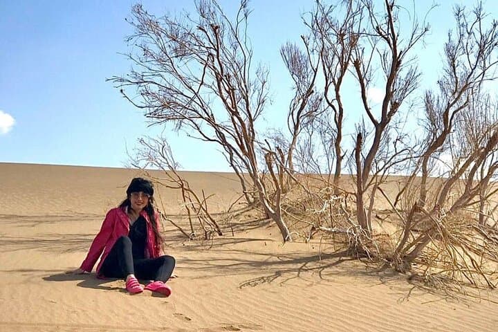 Dubai Sundowner Dune Safari With Dinner — Sunset Dune Bashing & Desert Camp Experience photo 4