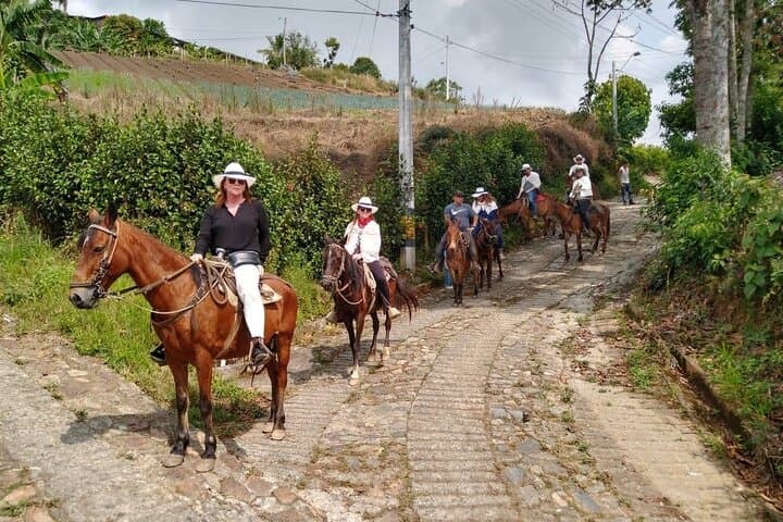 Horseback Riding to Llano Grande: Medellín Cabalgata Mountain Tour photo 4