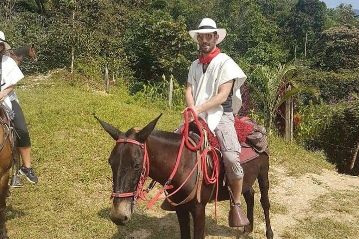 Horseback Riding to Llano Grande: Medellín Cabalgata Mountain Tour photo 6