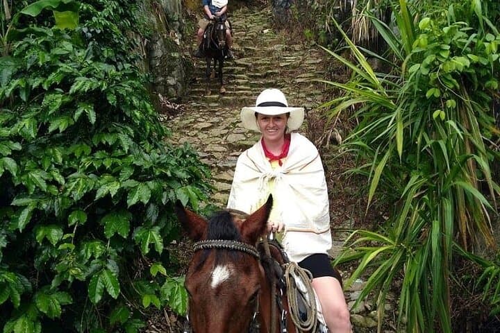 Horseback Riding to Llano Grande: Medellín Cabalgata Mountain Tour photo 5