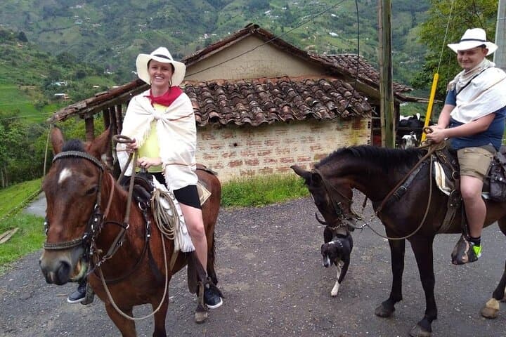 Horseback Riding to Llano Grande: Medellín Cabalgata Mountain Tour photo 3