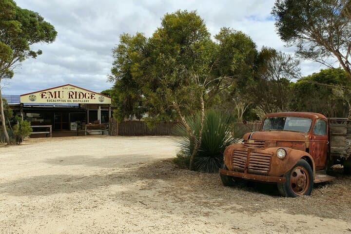 Kangaroo Island Sip & See Day Tour — Ferry from Adelaide to Wildlife, Wineries & Local Producers photo 4