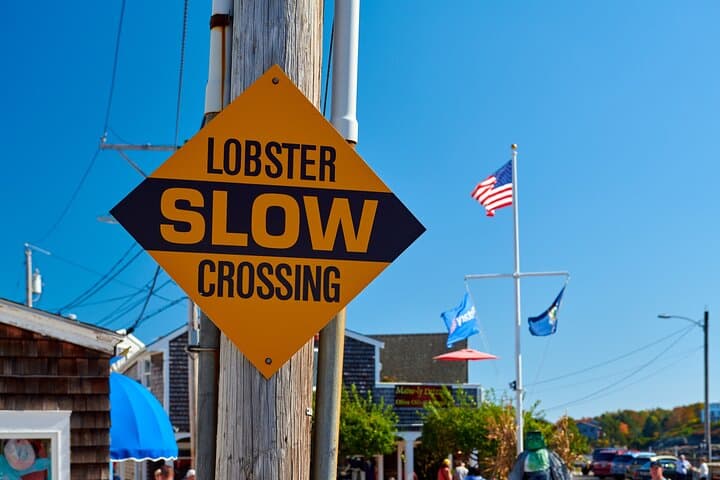 Exploring New England’s Southern Coast: Boston to Kennebunkport Day Trip photo 6
