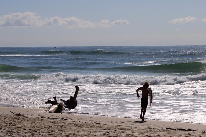 Private Surf Coaching Session in New South Wales — Personalized Surf Lessons & Ocean Safety photo 6
