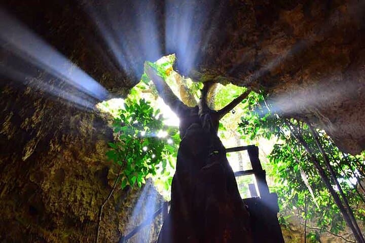 Explore Río Secreto: Private Underground River Tour from Playa del Carmen photo 5