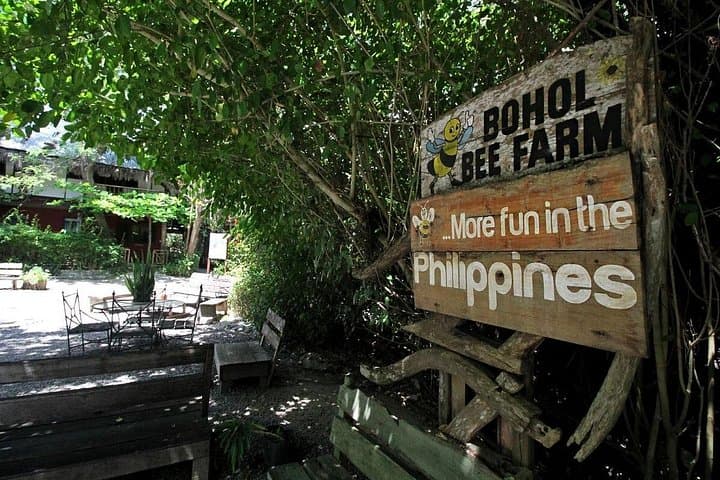 3-Day Private Bohol Adventure: Chocolate Hills, Tarsiers & Island Hopping photo 3