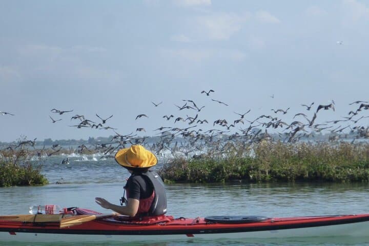 Night Kayak Venice: Sunset Lagoon & Secret Canals Tour photo 4