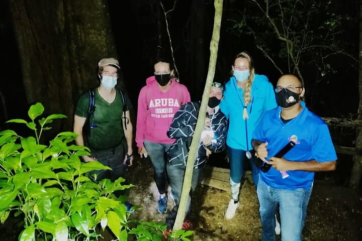Kinkajou Night Walk: Monteverde After-Dark Wildlife Tour