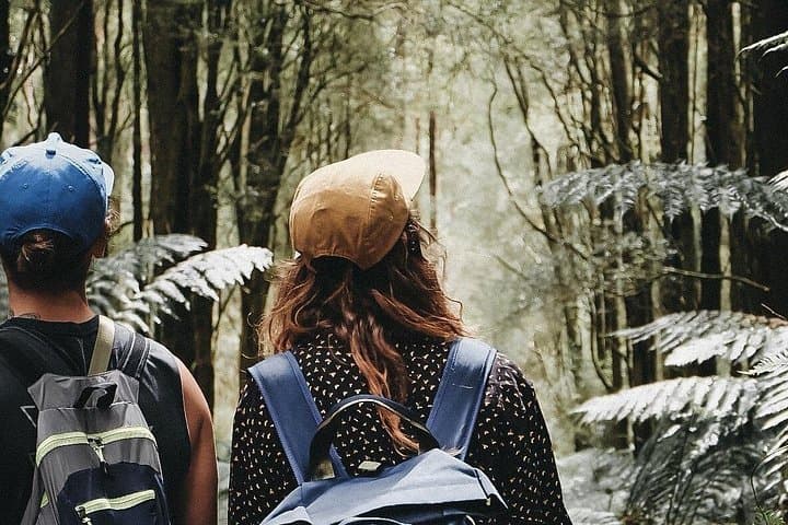 Hike the Yarra Valley & Dandenong Ranges: Private Day Tour from Melbourne photo 2