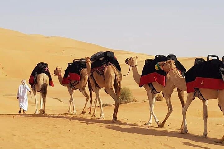 sunrise-desert-safari-dubai-red-dunes-dune-bashing-sandboarding photo 2