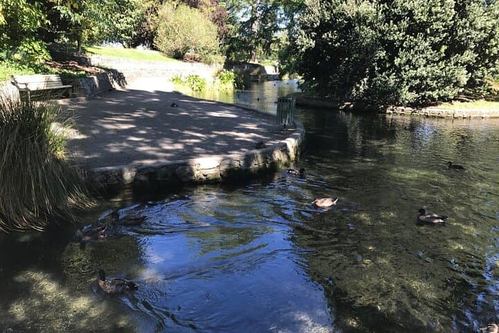 Marlborough Wine and Gourmet Picnic: Vineyard Tastings and Riverside Lunch from Blenheim or Picton photo 4