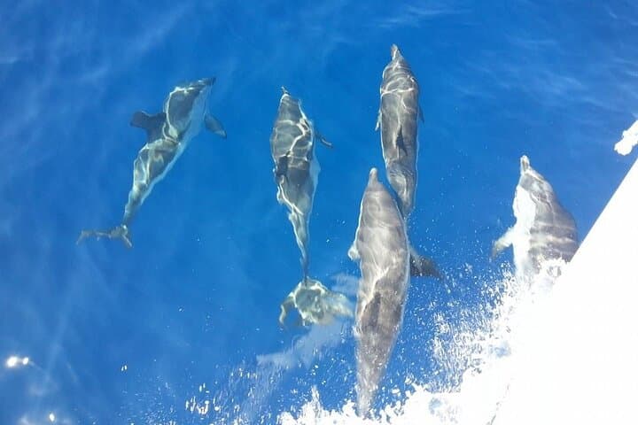 La Maddalena Archipelago Full-Day Sailboat Cruise from Cannigione photo 2