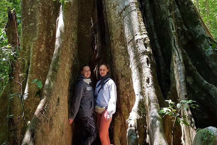 Monteverde Natural History Walk: Guided Cloud-Forest Wildlife Experience photo 3