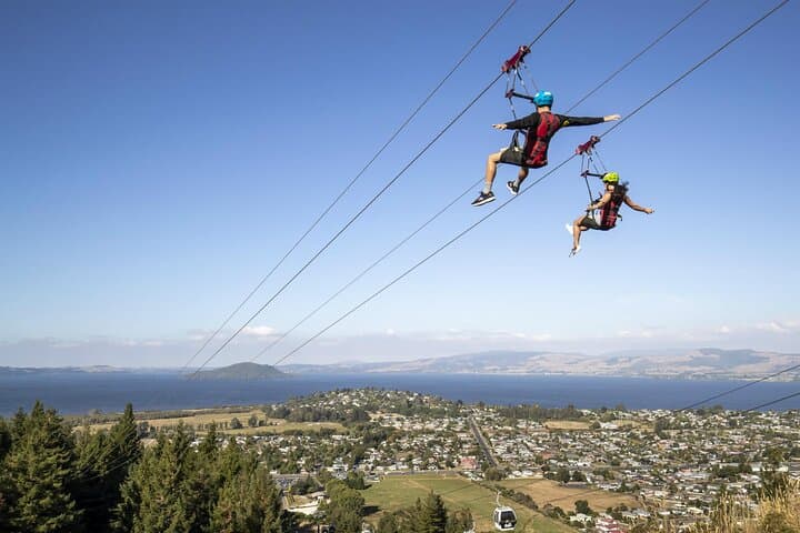 Private Rotorua Day Trip from Auckland: Agrodome, Gondola & Luge photo 2