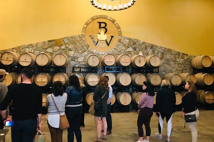 Virginia Wineries Day Tour from Washington DC: Guided Tastings & Countryside Views photo 4