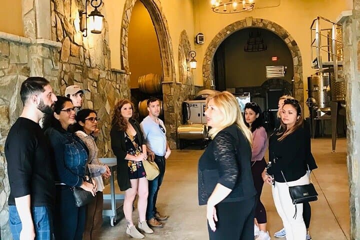 Virginia Wineries Day Tour from Washington DC: Guided Tastings & Countryside Views