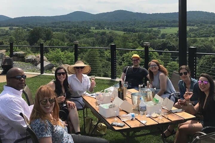 Virginia Wineries Day Tour from Washington DC: Guided Tastings & Countryside Views photo 2