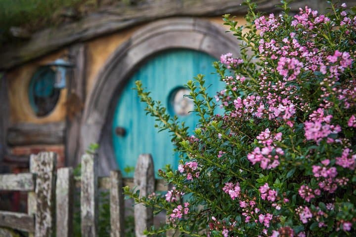 Hobbiton to Waitomo: Private 2-Day Rotorua, Geothermal Valley & Hamilton Gardens Tour photo 3