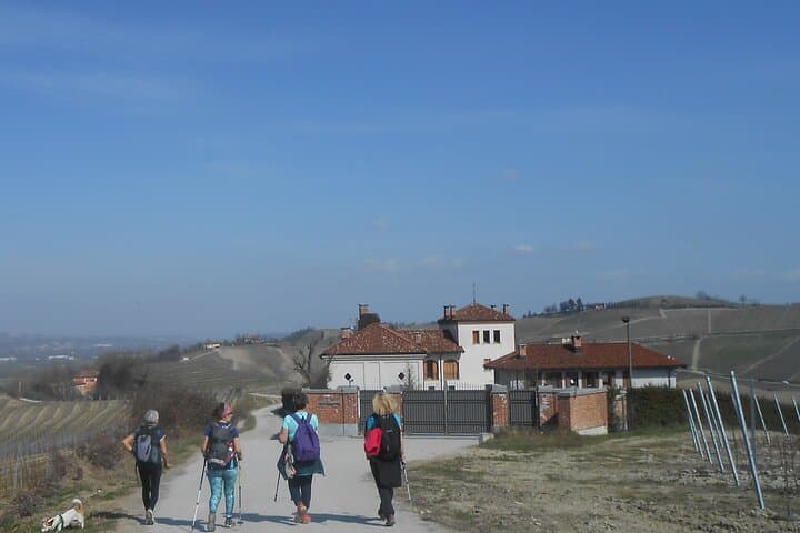 Hiking and Wine Tour from Alba: Langhe Hills Walk & Winery Tasting photo 6