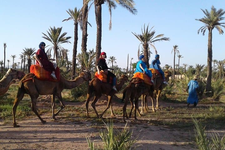Camel Ride in La Palmeraie Marrakech: 1-Hour Palm-Grove Trek with Hotel Pickup photo 3