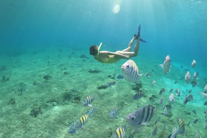 Cozumel Clear-Boat Snorkel Tour with Drinks: Glass-Hull Reef Experience photo 5