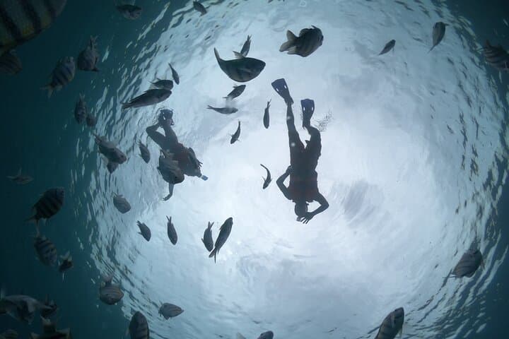 Cozumel Clear-Boat Snorkel Tour with Drinks: Glass-Hull Reef Experience photo 2