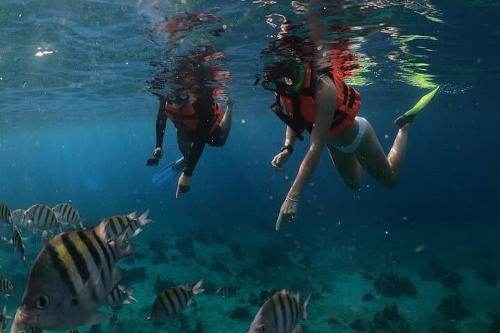 Cozumel Clear-Boat Snorkel Tour with Drinks: Glass-Hull Reef Experience photo 3