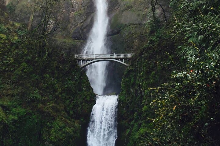 Columbia River Gorge Waterfalls Private Tour from Portland — Multnomah, Bridal Veil & Bonneville photo 4