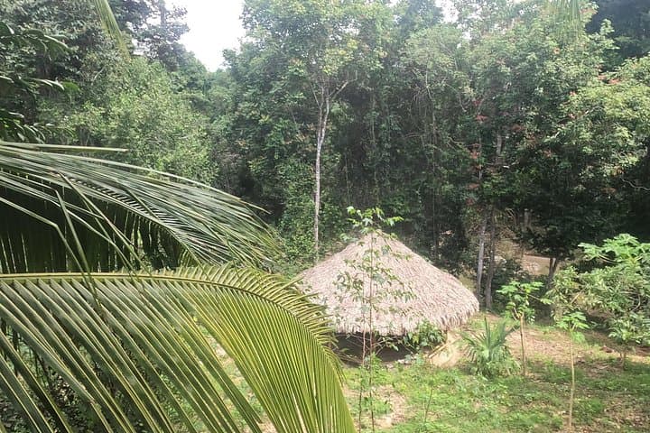 2-Day Cultural Trek to Gotsezhy Wiwa Refuge from Santa Marta photo 3