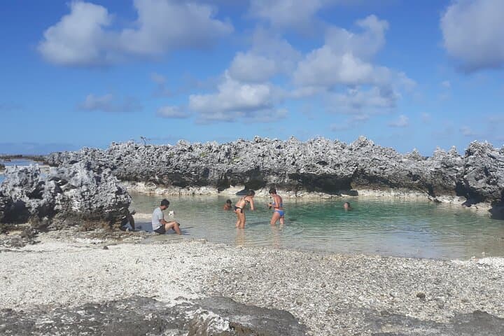 Rangiroa Reef Island Motu Day: Snorkel, Pools & Tiputa Dolphins photo 5