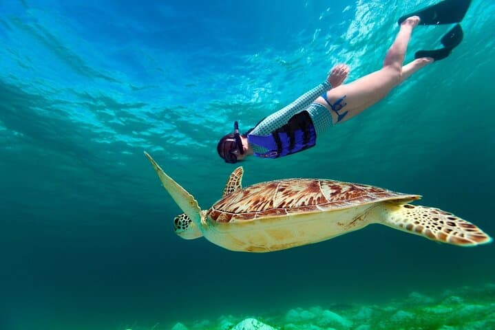 Snorkel Three Ecosystems in One Day: Cenote, Cavern & Caribbean Inlet (Riviera Maya) photo 4
